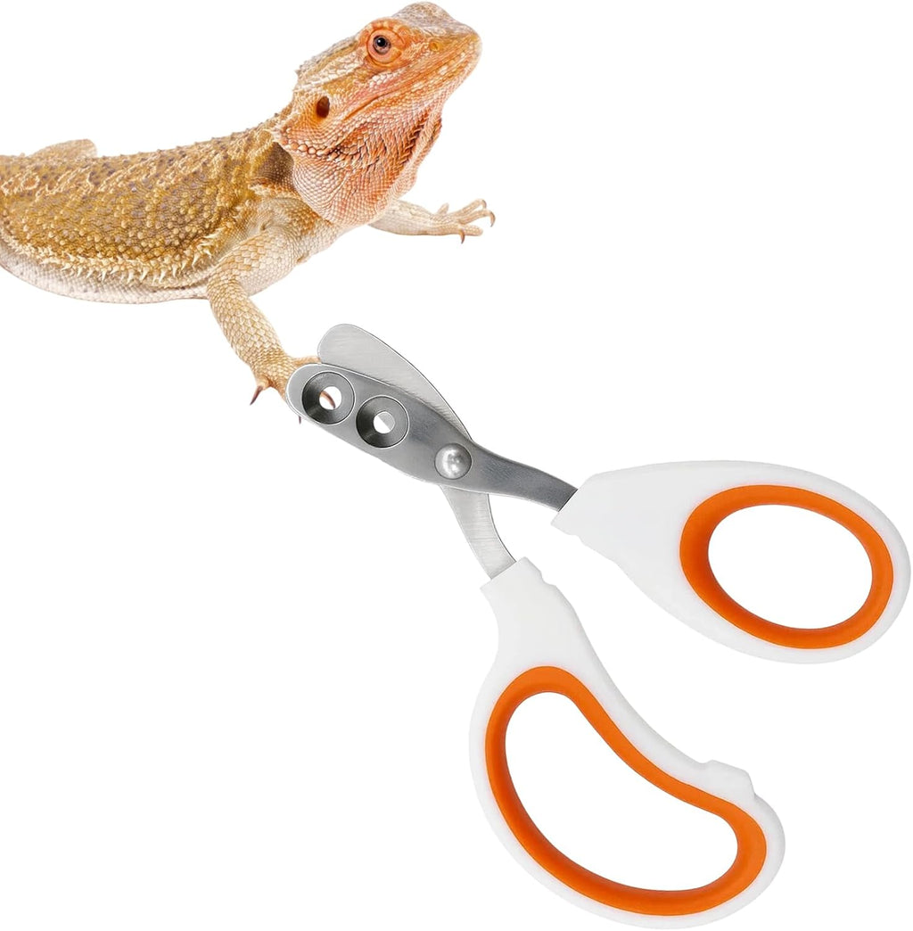YGHZYHLYL bearded dragon nail clippers front view reptile grooming accessory