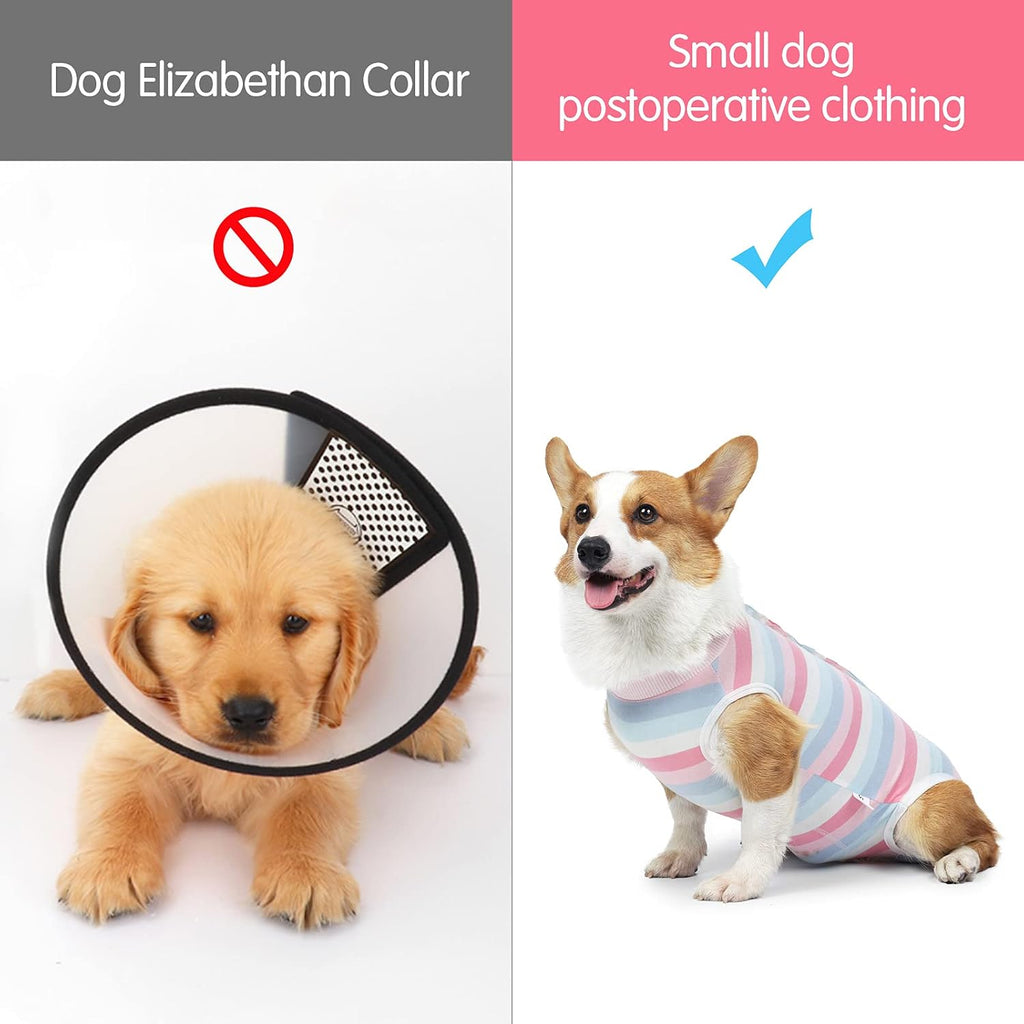 Coppthinktu professional post operative pet clothes with custom potty seam