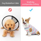 Coppthinktu professional post operative pet clothes with custom potty seam