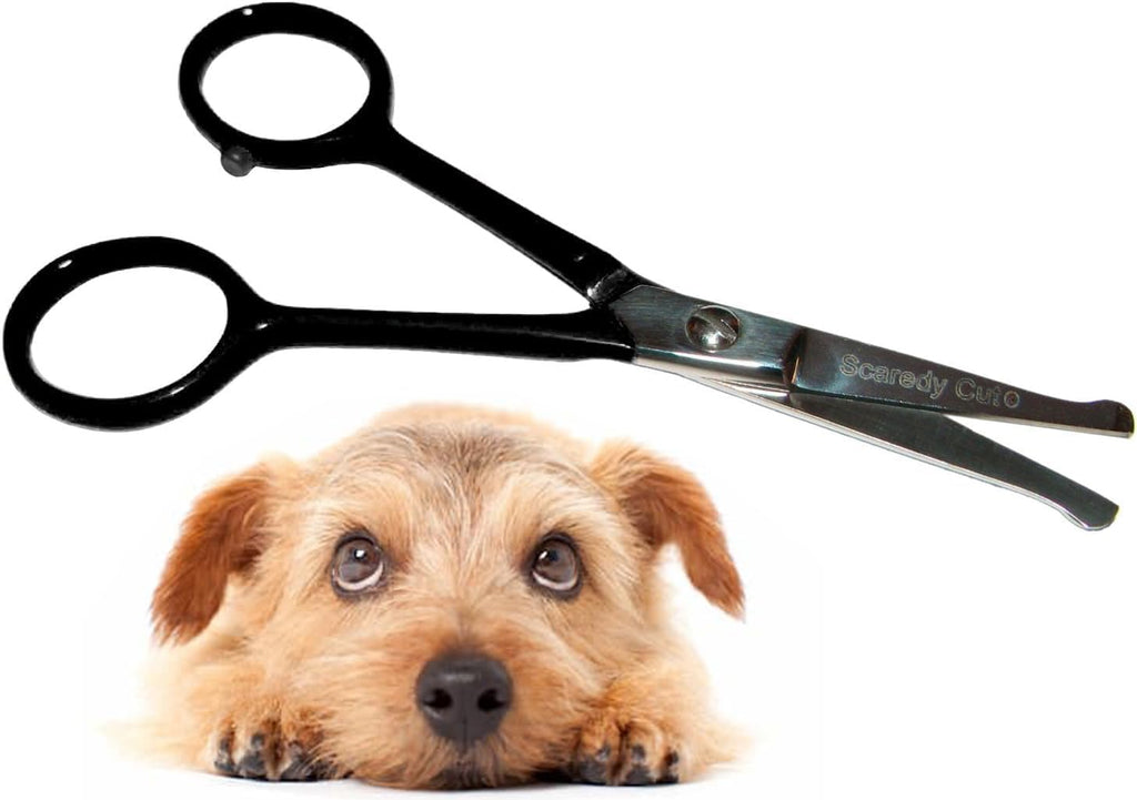 Tiny Trim 4.5" Ball-Tipped Scissor for Dog, Cat and all Pet Grooming - Ear, Nose, Face & Paw - Scaredy Cut's small Safety Scissor Blue - Image 9