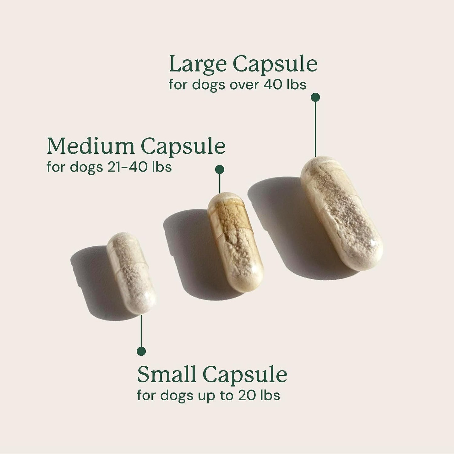 Animal Biome Probiotics for Dogs with S Boulardii, Gut Maintain (60 Capsules) - Triple-Action Large Dog Probiotics, Prebiotics & Phage Supplements for Gut Health, Firmer Stool & Diarrhea Support - Image 11
