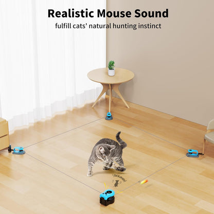 Indoor kitten chasing the AsFrost feather and plush mouse attachment on a straight line path.
