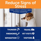 ThunderBites dog calming supplement for separation and thunderstorm anxiety