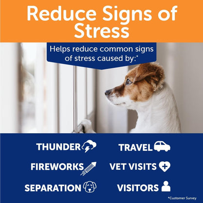 ThunderBites dog calming supplement for separation and thunderstorm anxiety
