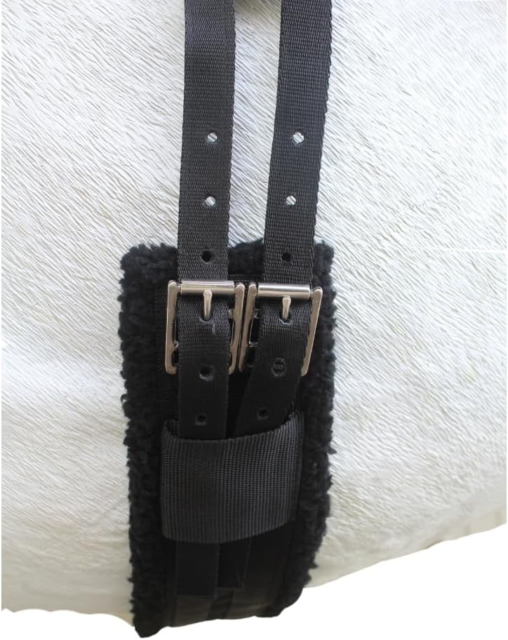 Professional Equine horse bareback pad showing secure billet straps setup