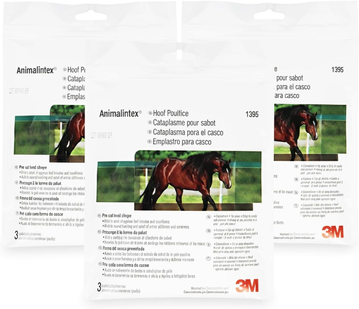 Medicated horse hoof dressing pad containing boric acid and tragacanth