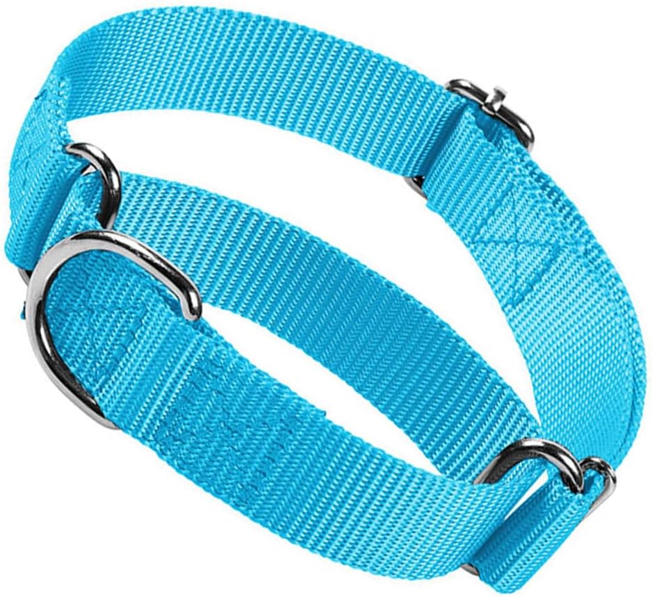 Martingale Collar for Dogs, No Pull Dog Collars for Large Dogs Heavy Duty No Slip Training Dog Choker Collar for for Small Medium Large Dogs (Black, M) - Image 11