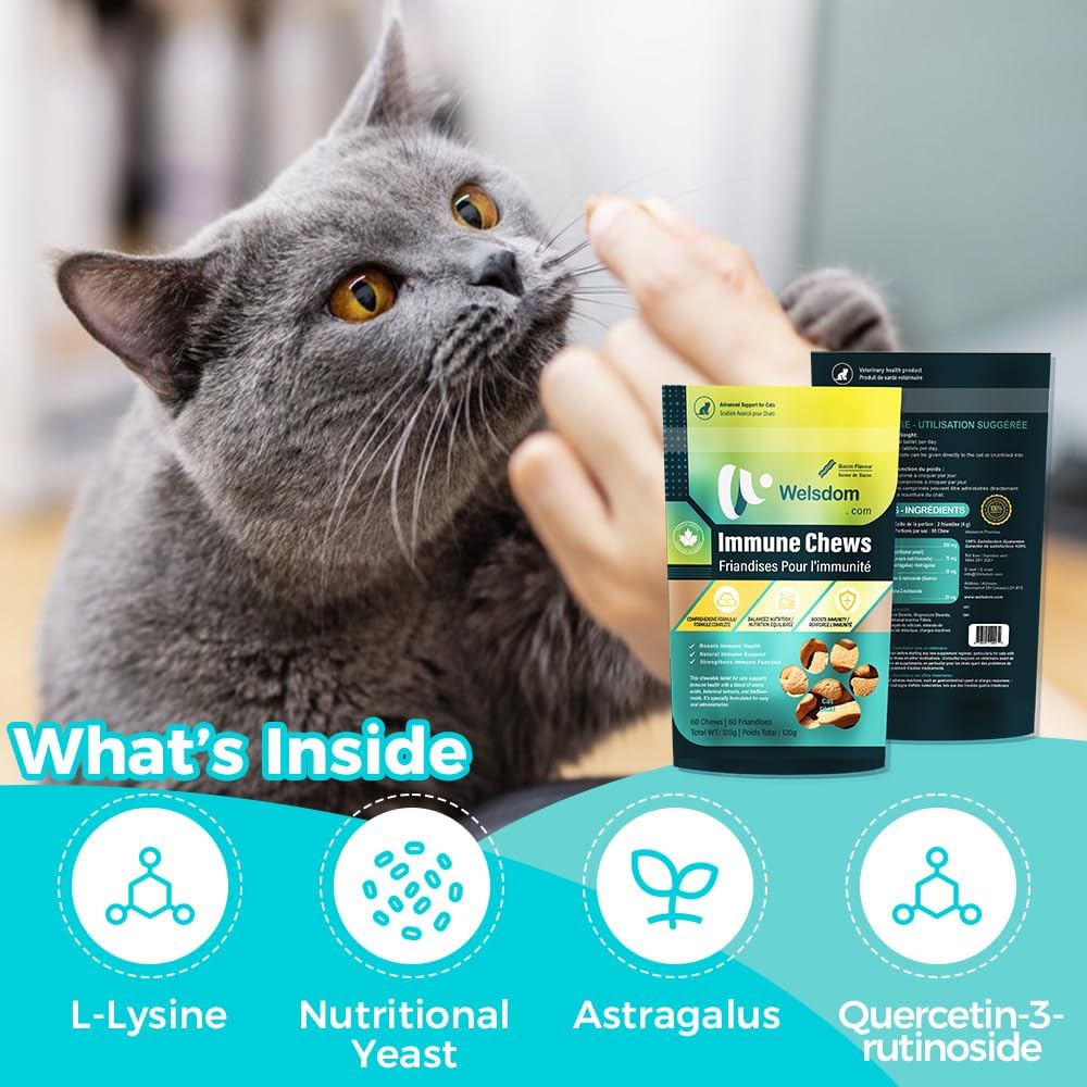 Instructions for daily use of Welsdom cat supplements