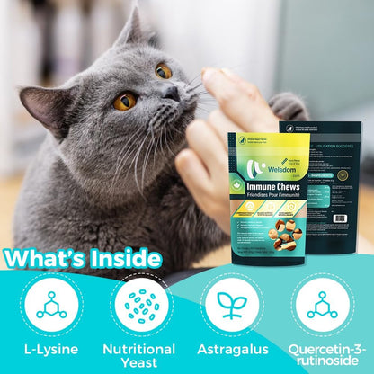 Instructions for daily use of Welsdom cat supplements