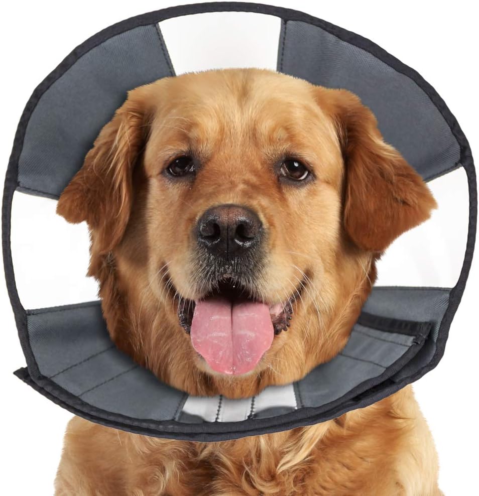 ZenPet Pet Recovery Cone E-Collar for Dogs and Cats - Always Use with Your Pet's Everyday Collar - Comfortable Soft Collar is Adjustable for a Secure and Custom Fit (Medium) - Image 11