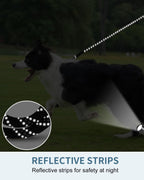 Reflective stitching details on black long dog leash for safety