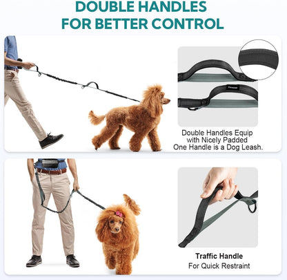 Shock absorbing dog walking accessories for two large dogs up to one hundred twenty pounds.