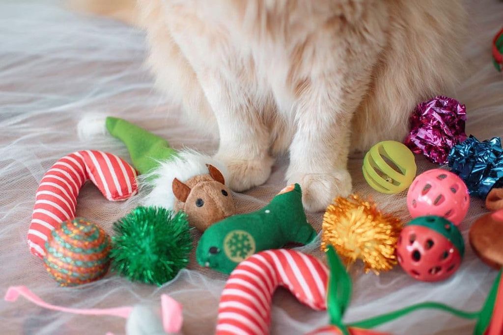 Midlee fourteen piece cat toy set arranged outside the holiday stocking.
