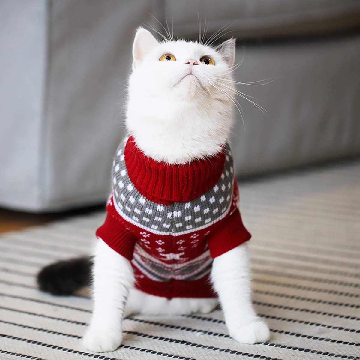 Vehomy classic warm coat extra small argyle pullover for kitty