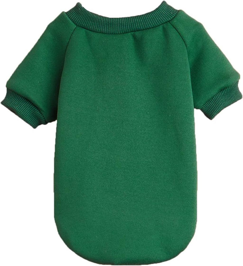 Premium imported small dog clothes cozy green knitwear for puppies