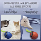 Cat playing with Amatffug Speediest Tail 2.0 ball