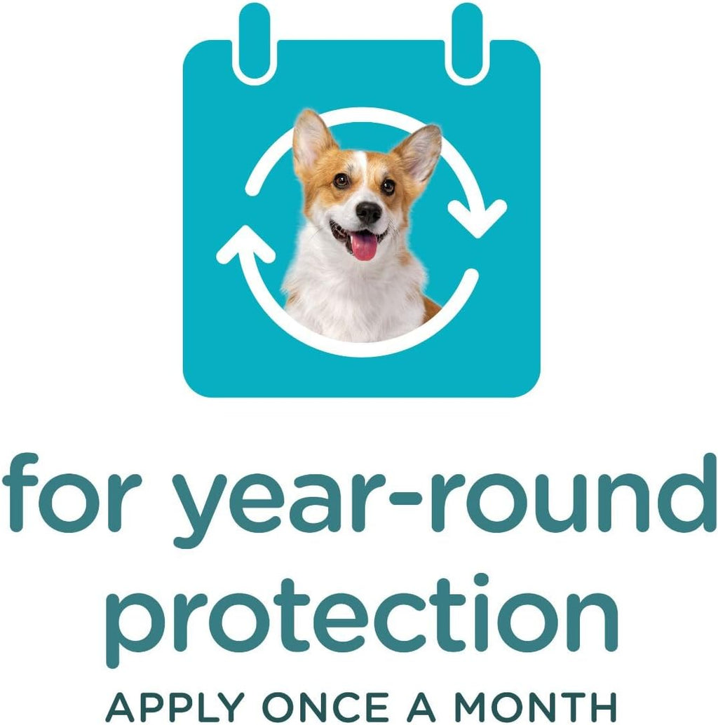 Sergeant's Guardian Flea & Tick Squeeze On for Dogs 7-33 lbs., 3 Count - Image 9