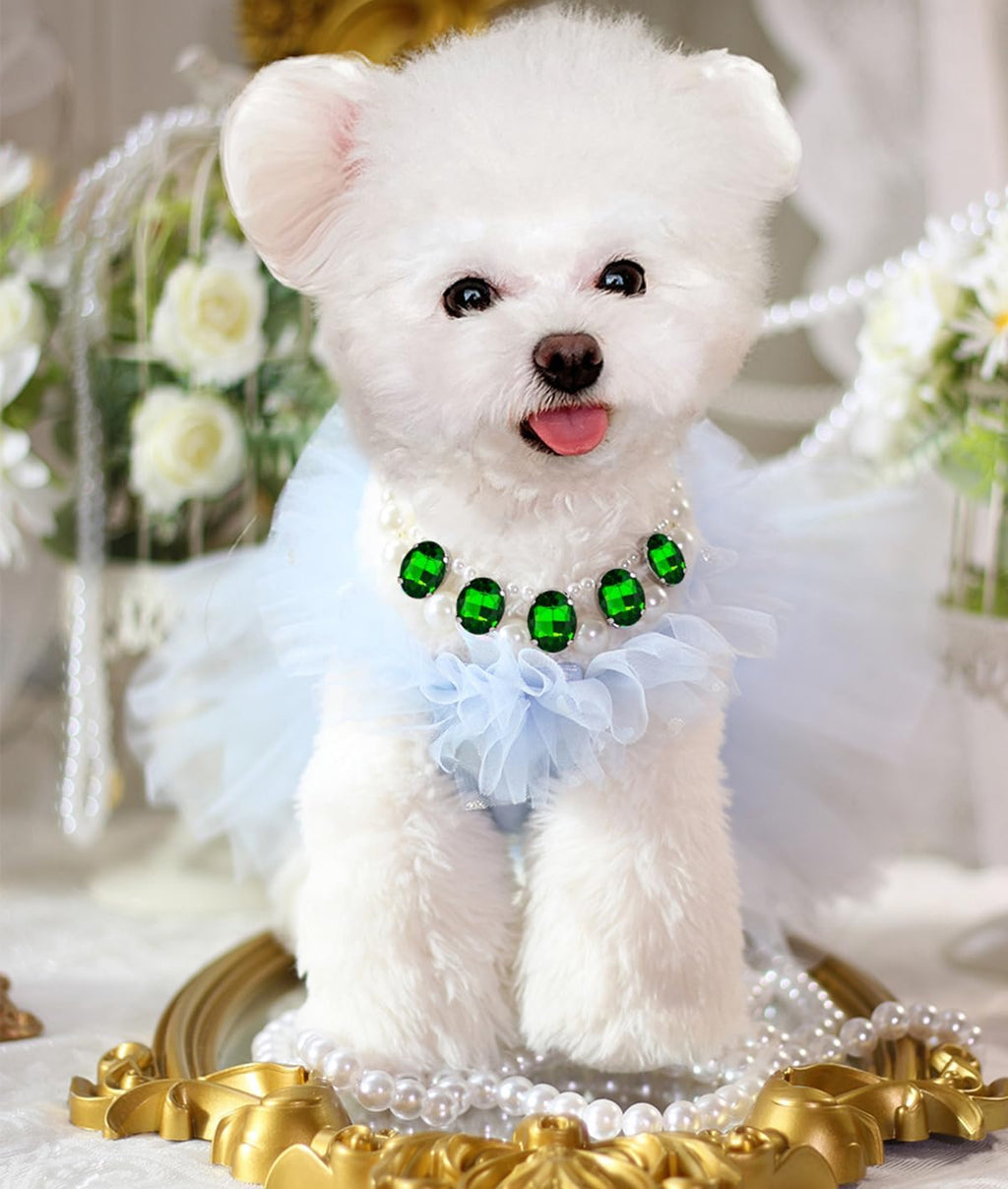 Detailed view of artificial pearls and rhinestones on pet collar