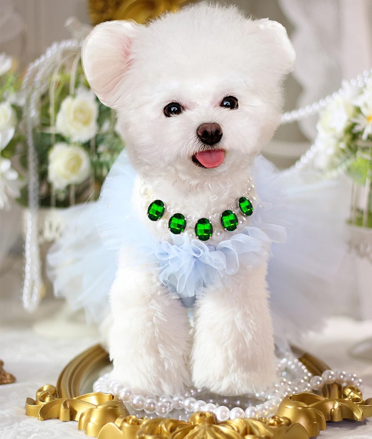 Detailed view of artificial pearls and rhinestones on pet collar