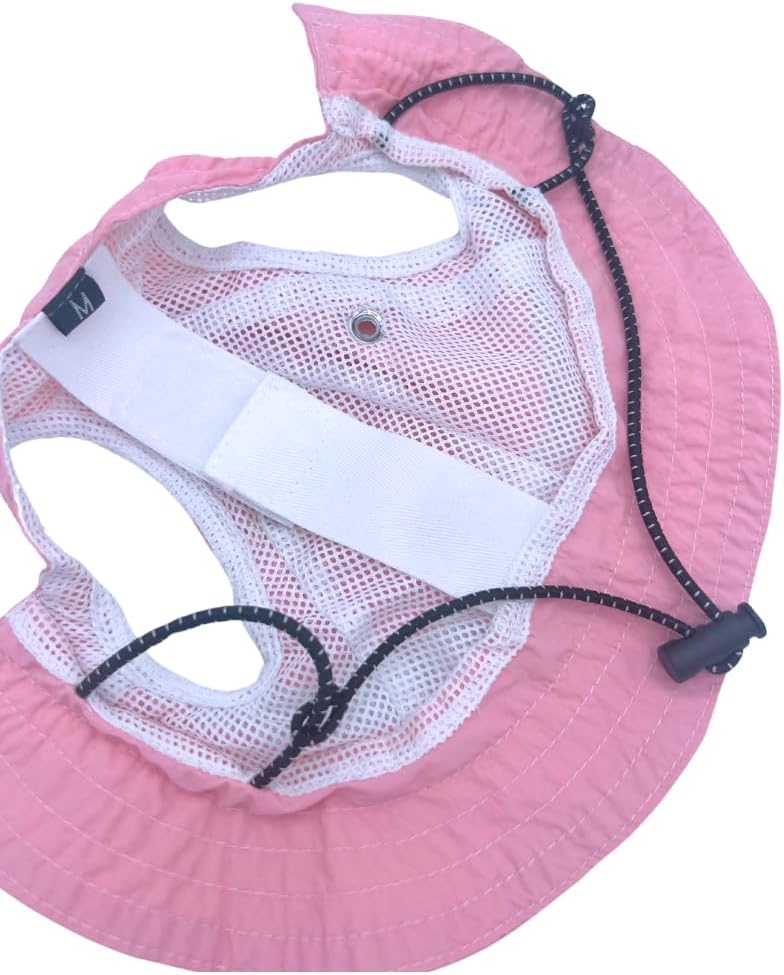 Large dog wearing pink sun protection hat outdoors