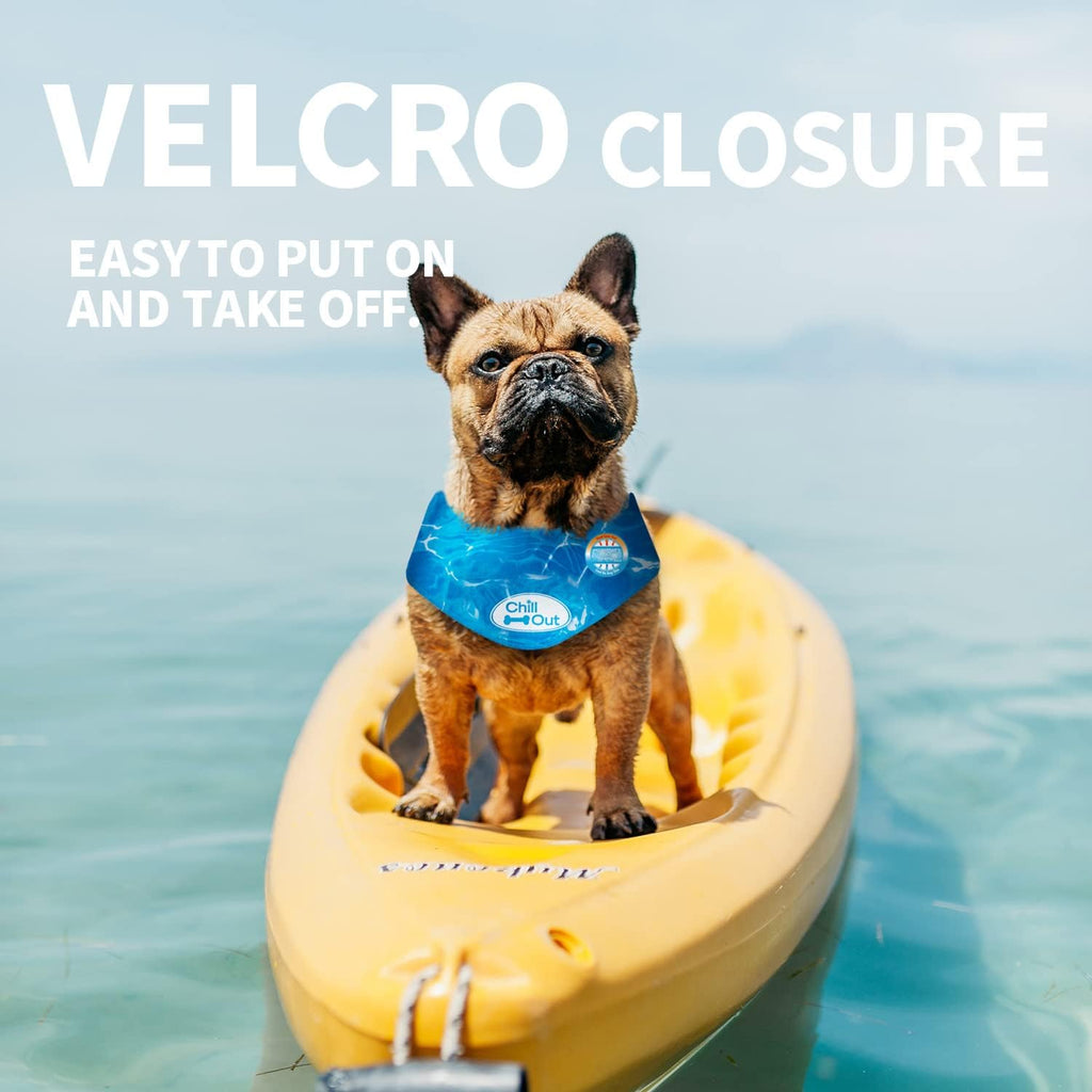 Authentic All For Paws summer pet apparel retail packaging presentation