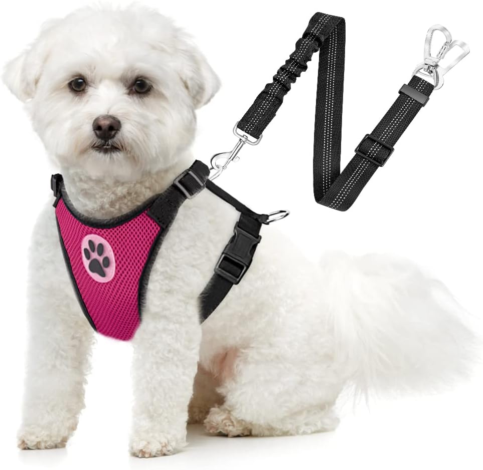 SlowTon Dog Seat Belt Harness for Car, Dog Car Harness Adjustable Mesh Breathable & Dog Seatbelt Safety Tether with Elastic Bungee for Small Medium Large Pets(Black, Double Clip, M) - Image 11