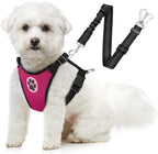 SlowTon Dog Seat Belt Harness for Car, Dog Car Harness Adjustable Mesh Breathable & Dog Seatbelt Safety Tether with Elastic Bungee for Small Medium Large Pets(Black, Double Clip, M) - Image 11