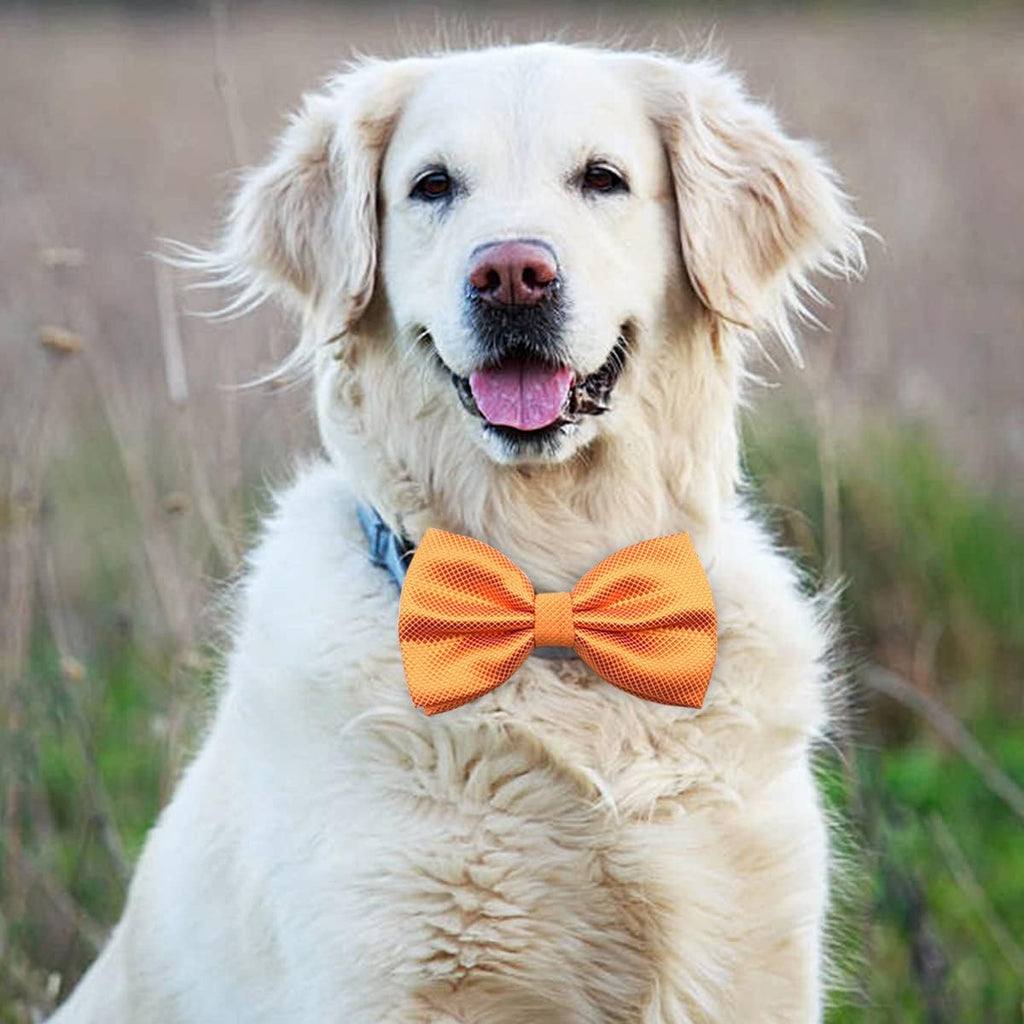PET SHOW festive holiday pet costume accessories in various plaid shades