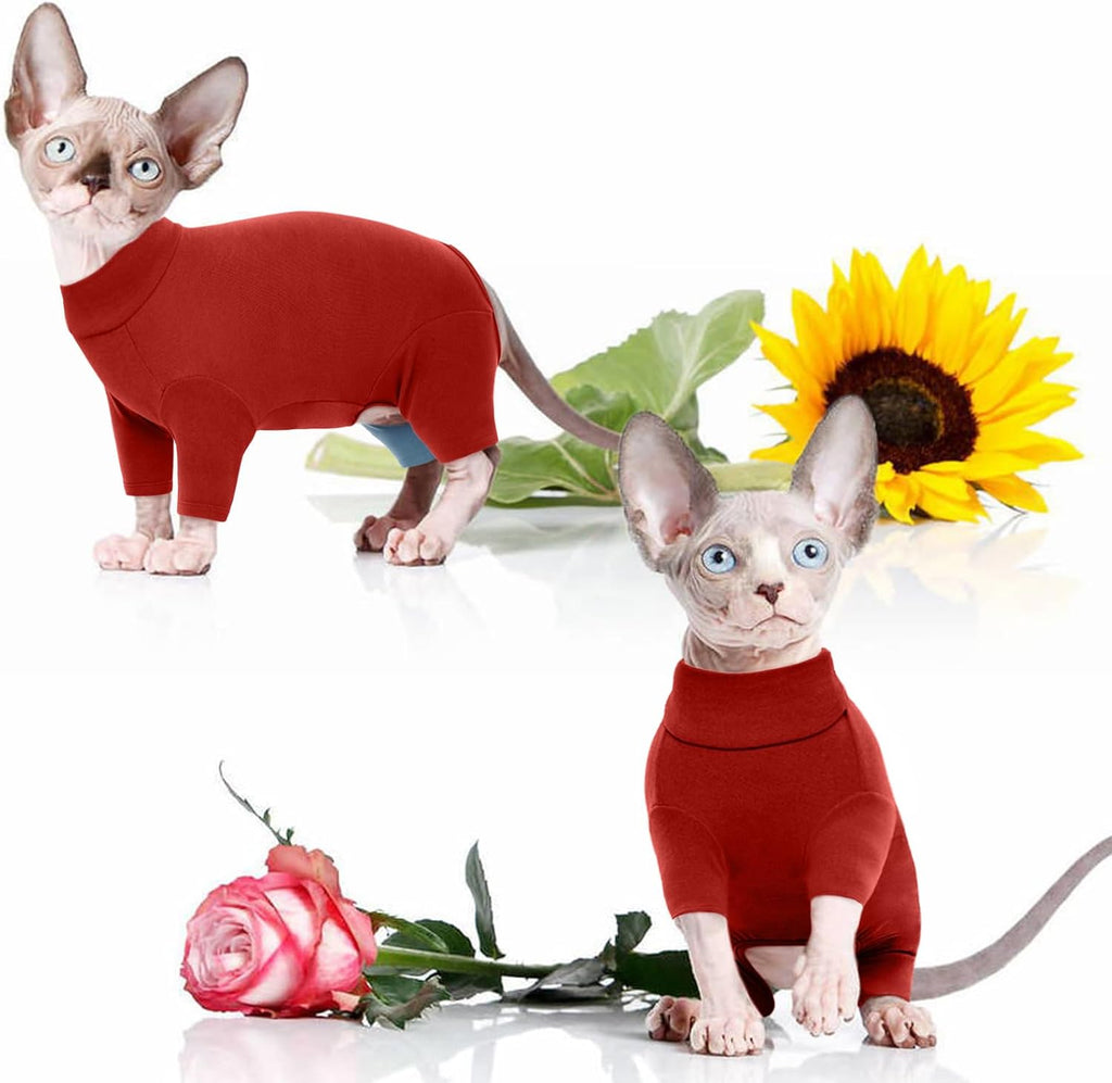 Rear view of Sphynx cat in four legged cat pajamas