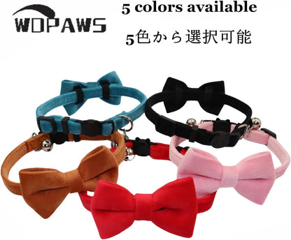 WDPAWS red breakaway pet collar for kittens and adult cats lifestyle view