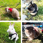 Side profile of Pettom small pet harness configured for large rabbits