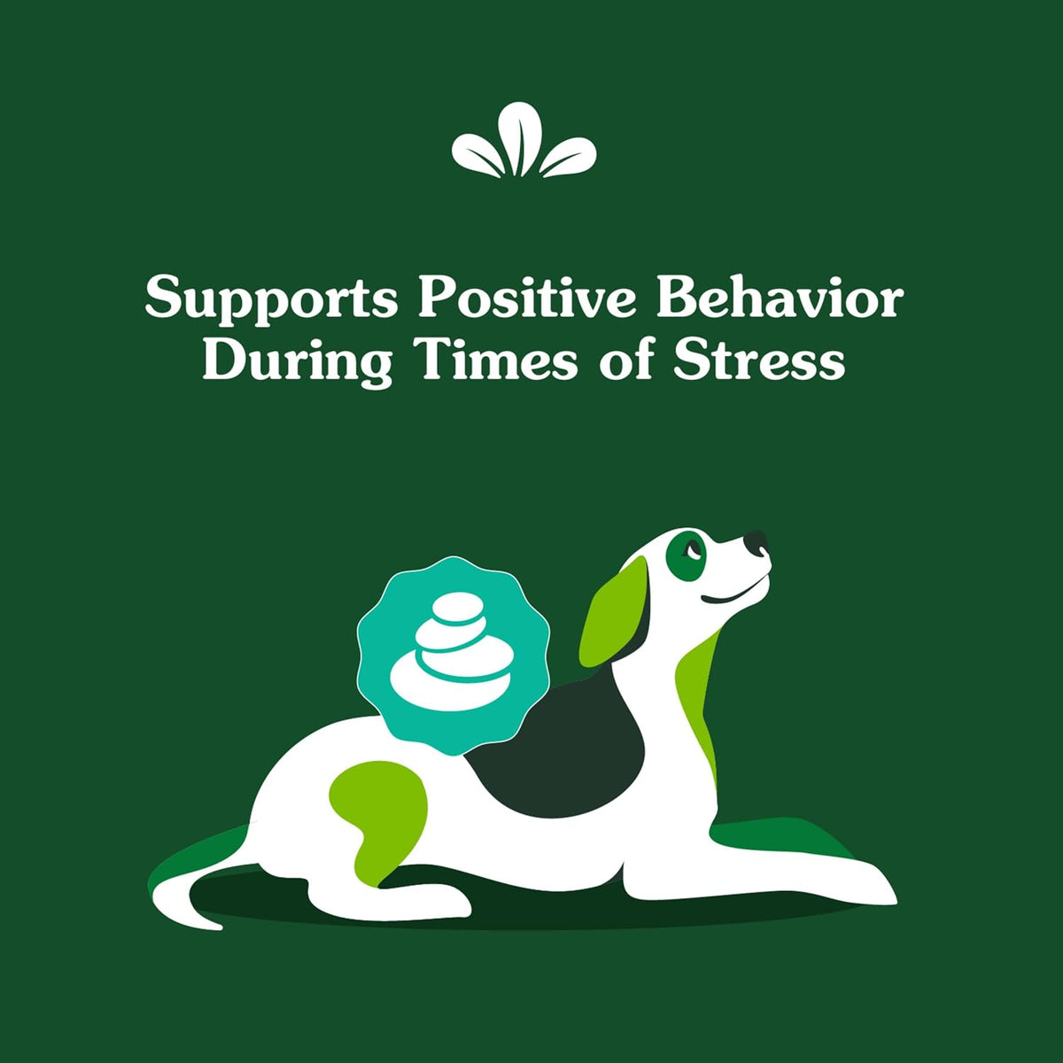 Greenies Supplements Calming Chews for Dogs Chicken Flavor, Dog Calming Chews, 7.3 oz. Container of 40 Count - Image 4