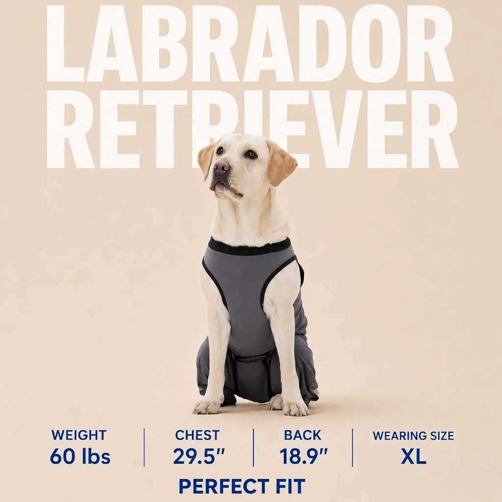 Dog recovery suit showing trimmable potty opening