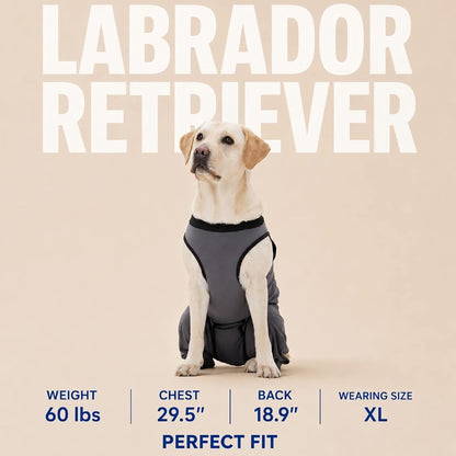 Dog recovery suit showing trimmable potty opening