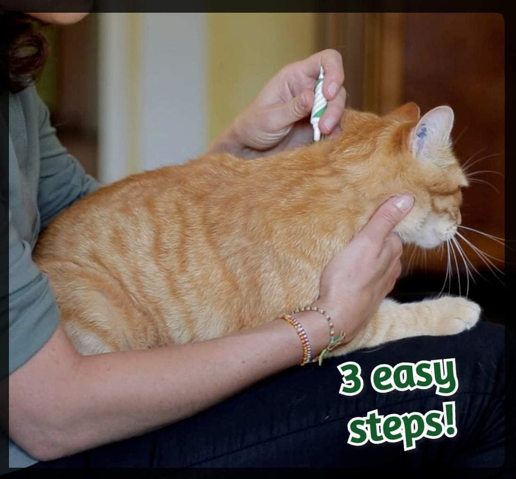 Premium USA imported natural cat flea prevention pack details on display