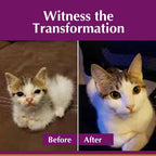 Fenbendazole liquid dewormer for cats easy mix ham flavor formula