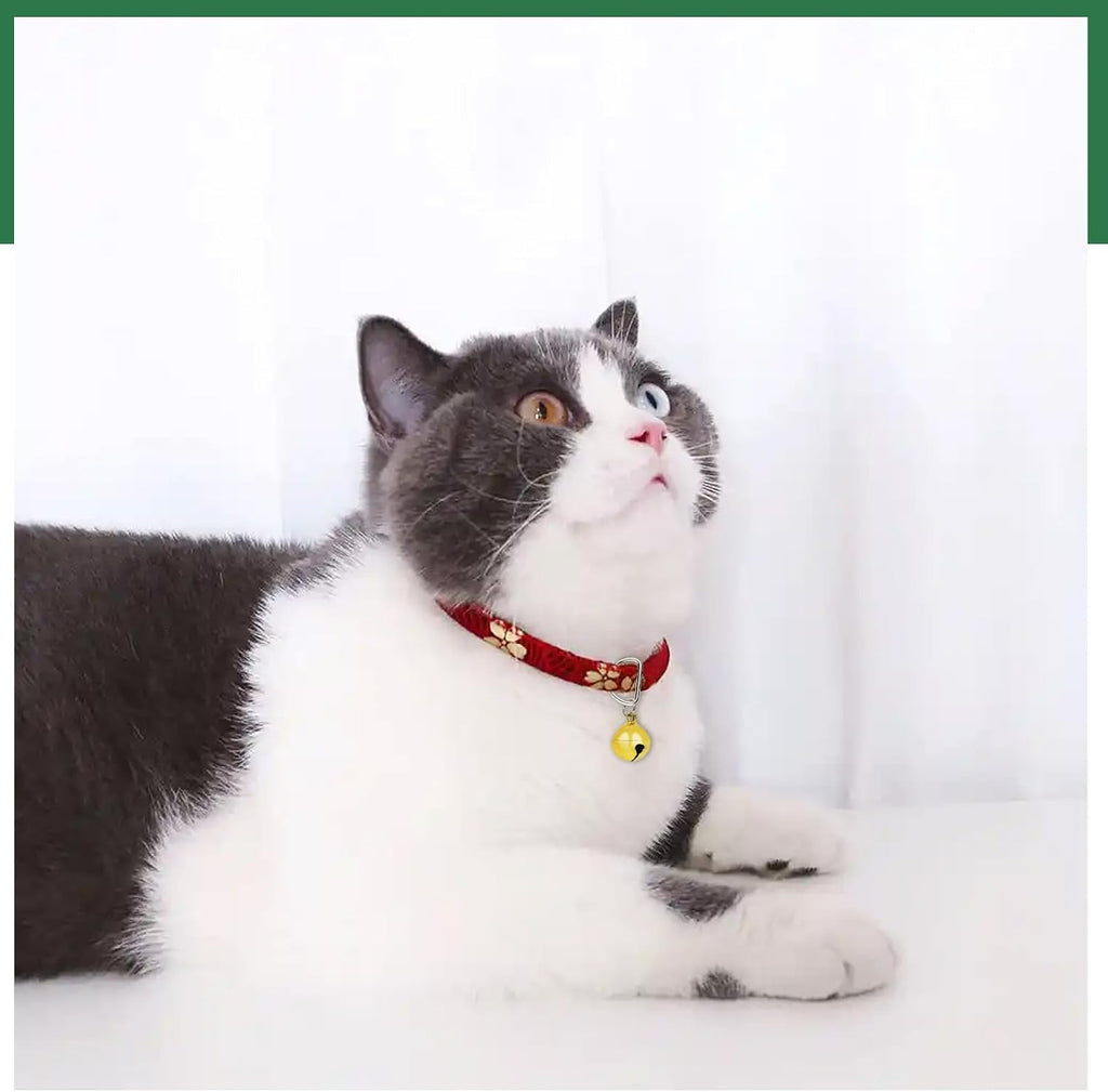 Aphrordity rust resistant shiny pet collar accessories in diverse shades