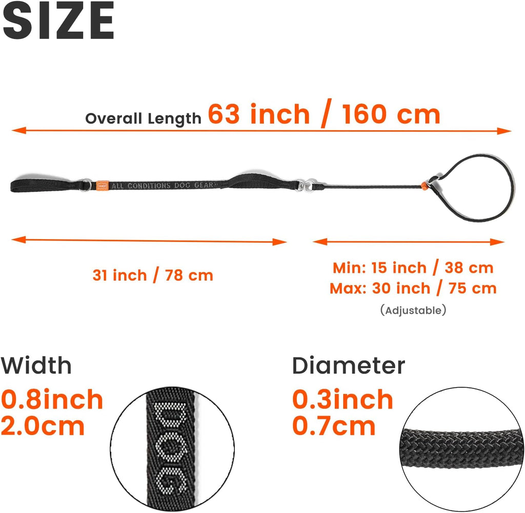HowGo lightweight dog leash highlighting the integrated nighttime reflective stitching.
