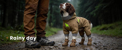 Hertiendo dog paw protector set of four boots