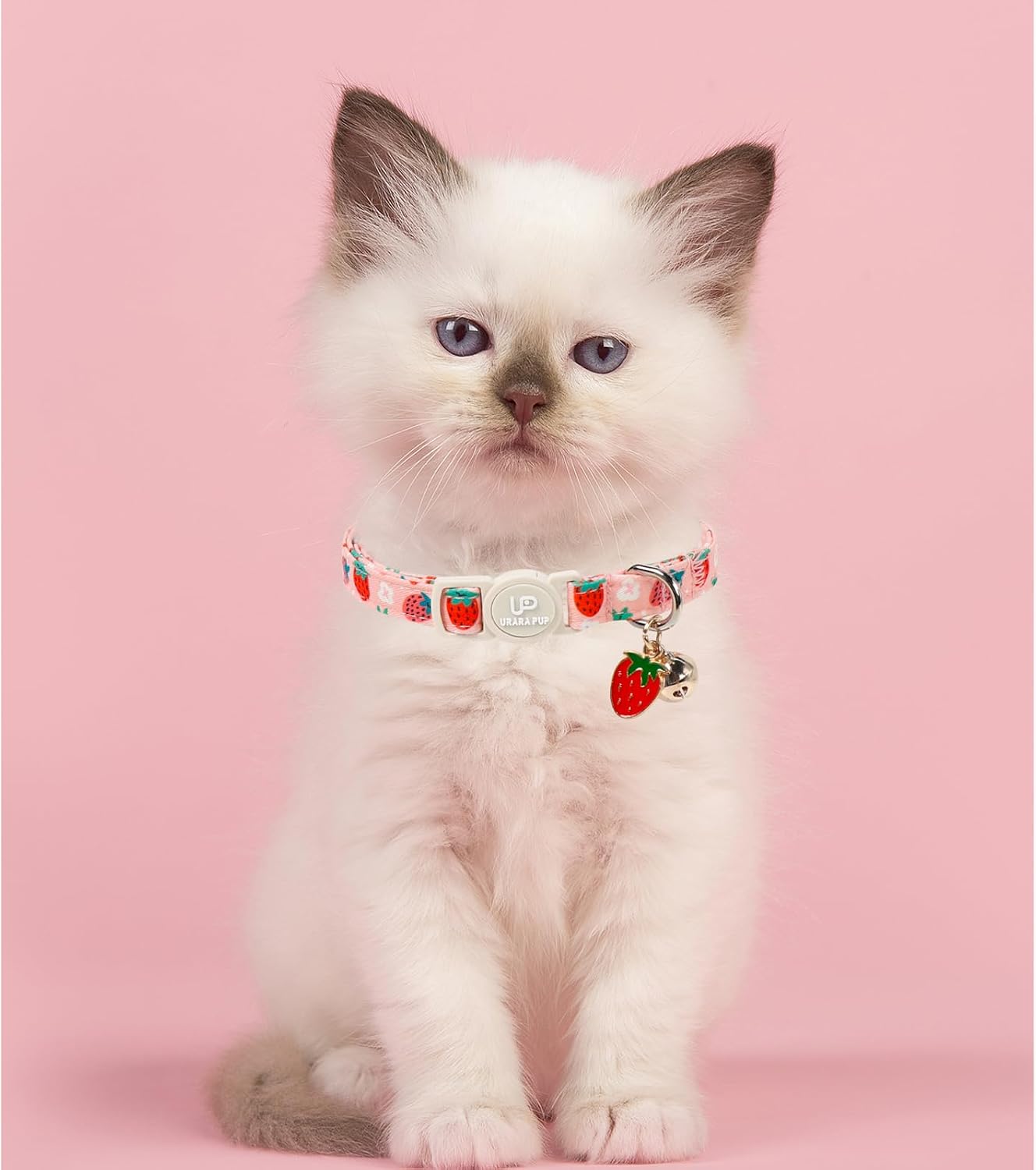 Authentic imported UP URARA PUP kitty safety collar showing side buckle detail.