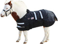 Challenger 1680D miniature horse foal winter blanket front view showcasing adjustable chest strap closures