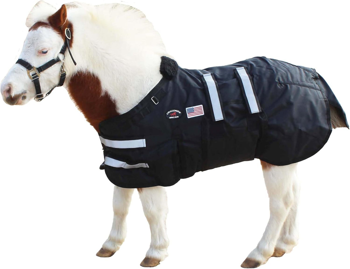 Challenger 1680D miniature horse foal winter blanket front view showcasing adjustable chest strap closures