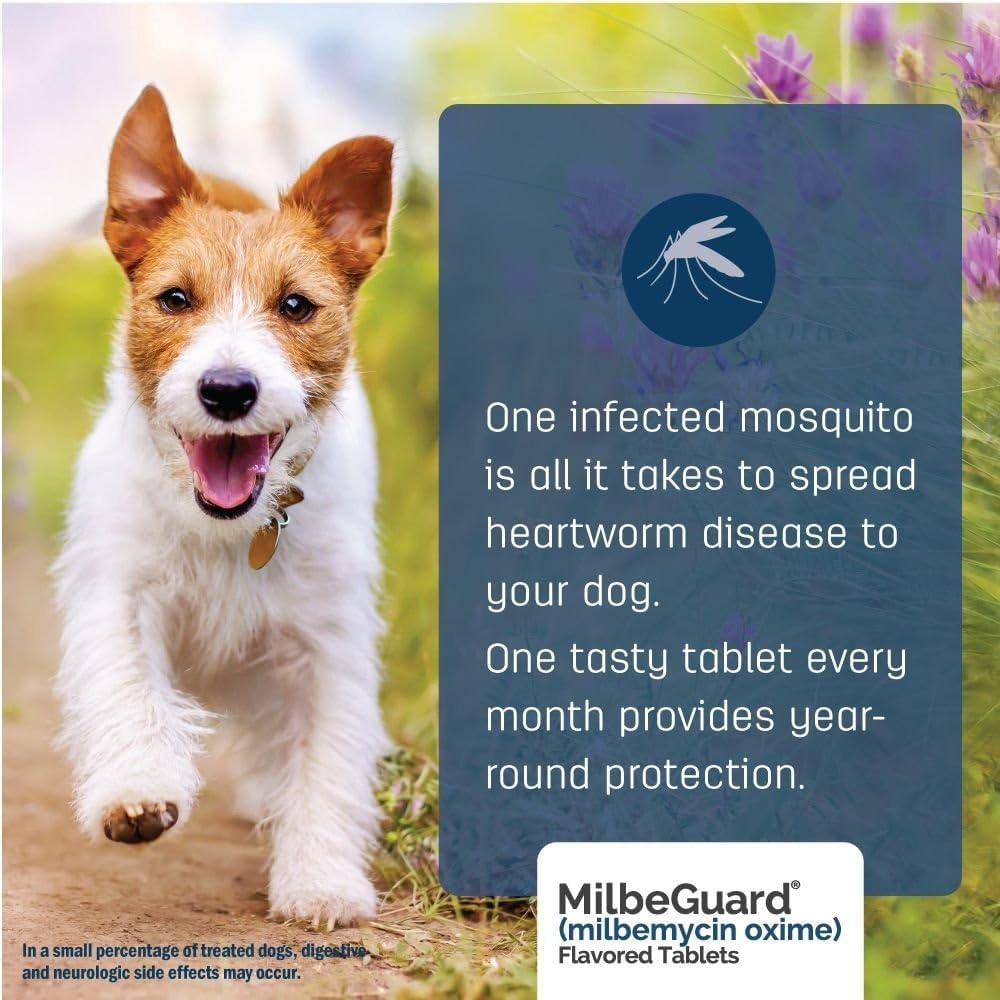 Side view of MilbeGuard heartworm prevention box for large dogs and cats