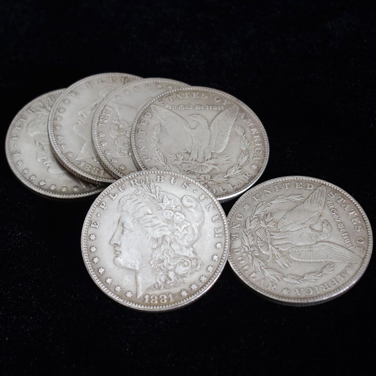 Fogilas 6 piece magnetic Morgan Dollar replica set front view