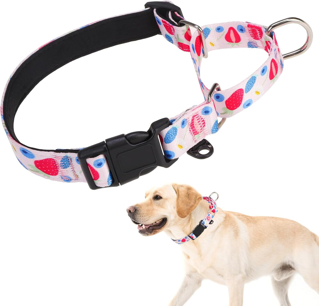 KOOLTAIL Martingale Collar for Dogs for Small Medium Large Dogs, Soft Padded Nylon No Pull Dog Collar with Buckle, Adjustable No Slip Heavy Duty Durable Puppy Training Collar for Boys Girls, Blue M - Image 12