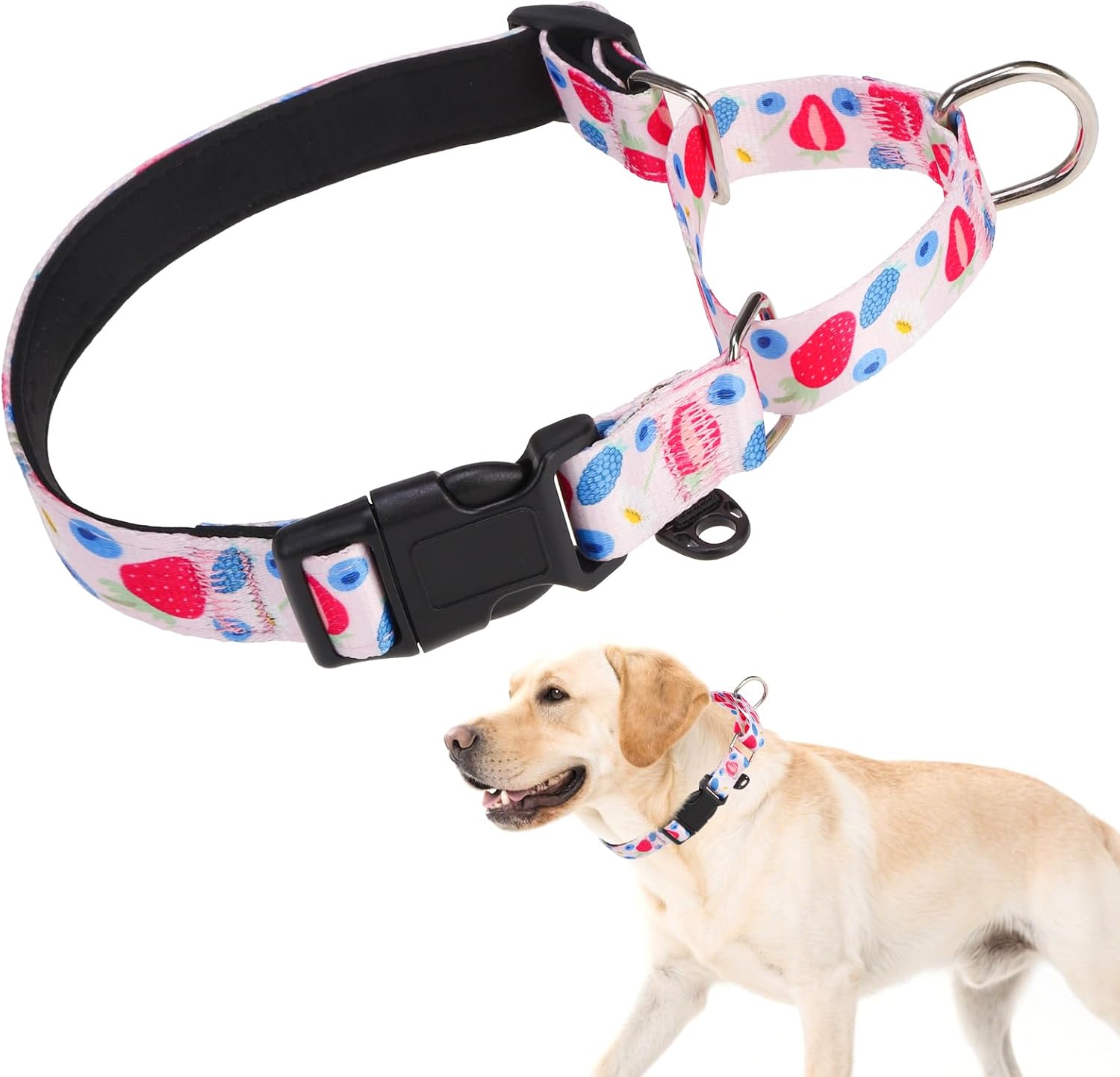 KOOLTAIL Martingale Collar for Dogs for Small Medium Large Dogs, Soft Padded Nylon No Pull Dog Collar with Buckle, Adjustable No Slip Heavy Duty Durable Puppy Training Collar for Boys Girls, Blue M - Image 12
