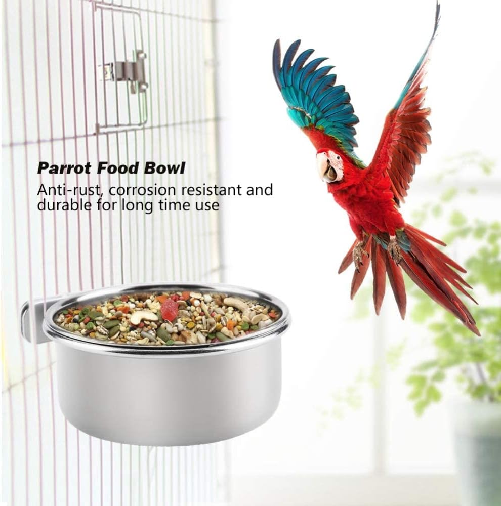 Bird feeding bowl holding seeds inside wire cage