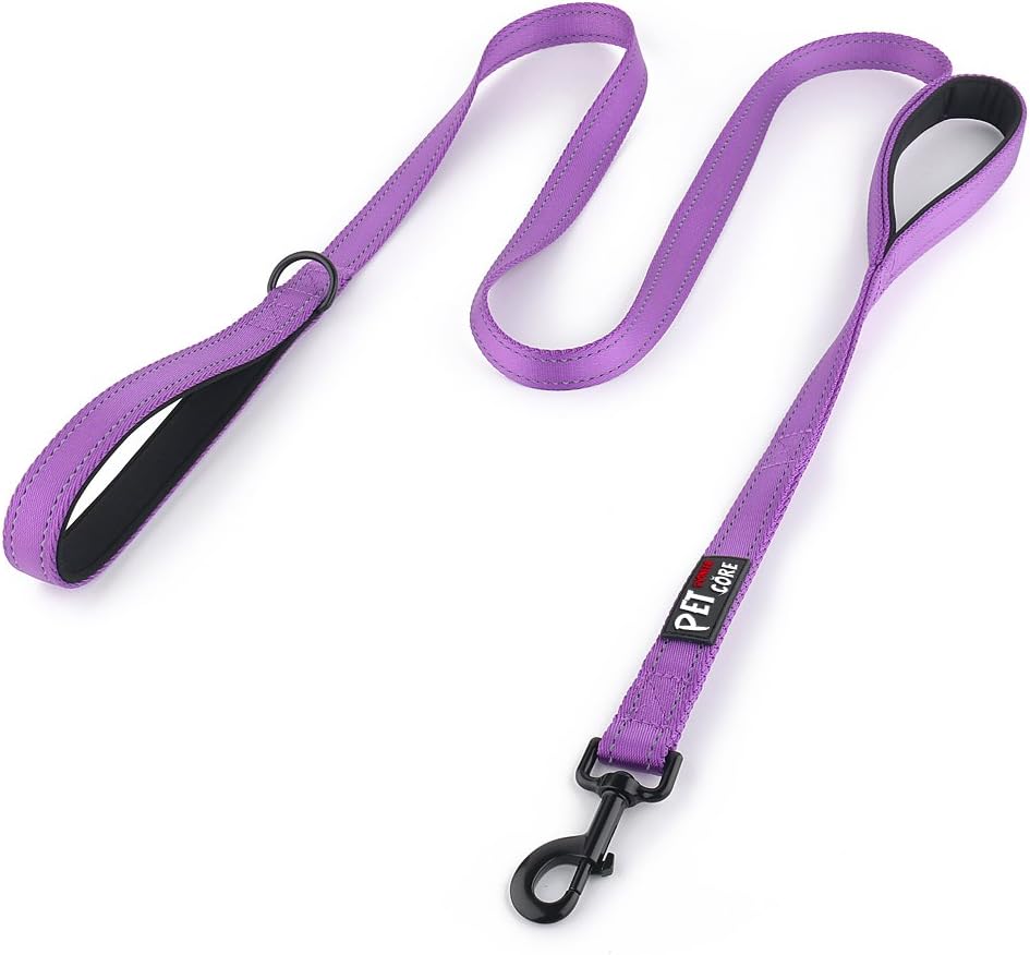 Plutus Pet Double Handle Dog Leash 6ft Long, Padded 2 Handle, Heavy Duty, Reflective Training Leash for Medium Large Dogs, Dual Handle Lead (Pink) - Image 12