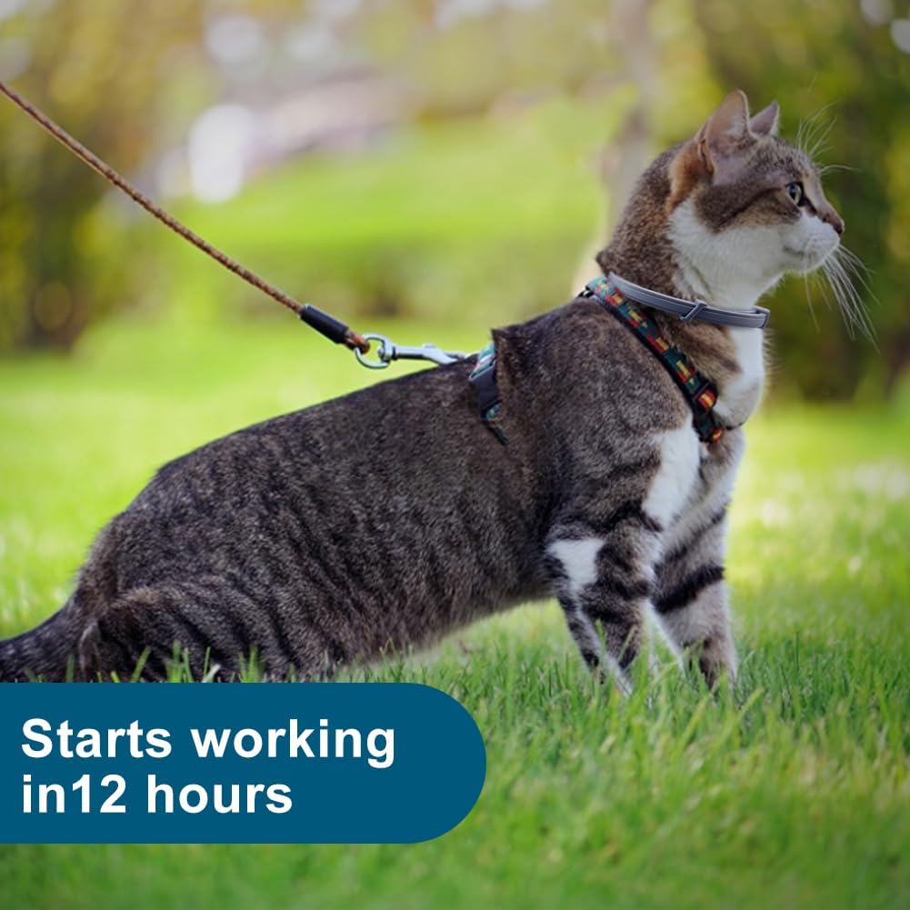 Natural plant-based flea collar for indoor outdoor cats
