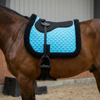 Professional Equine English bareback pad with changeable stirrups attached